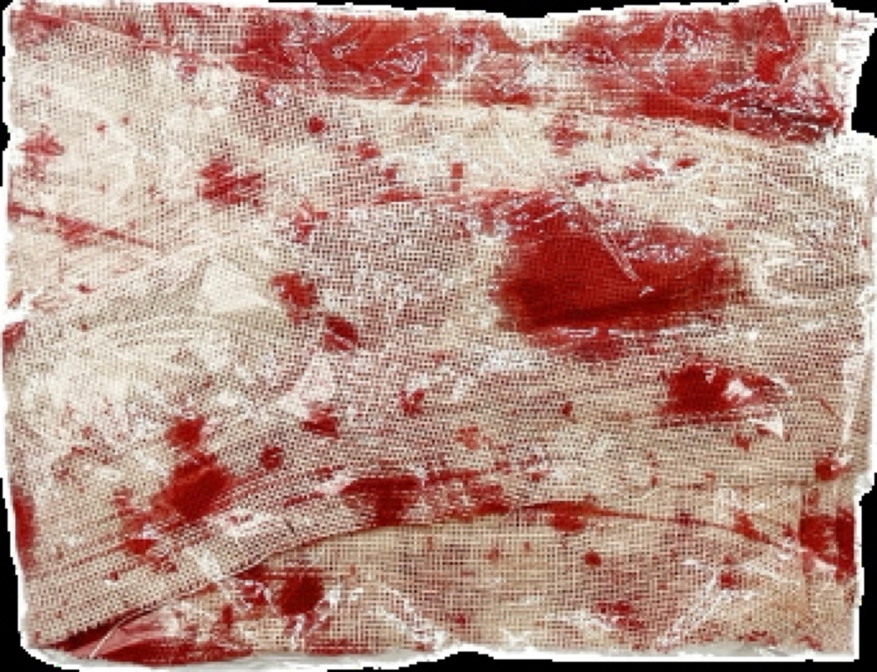 RIVER OF DENIAL • FRAME #103