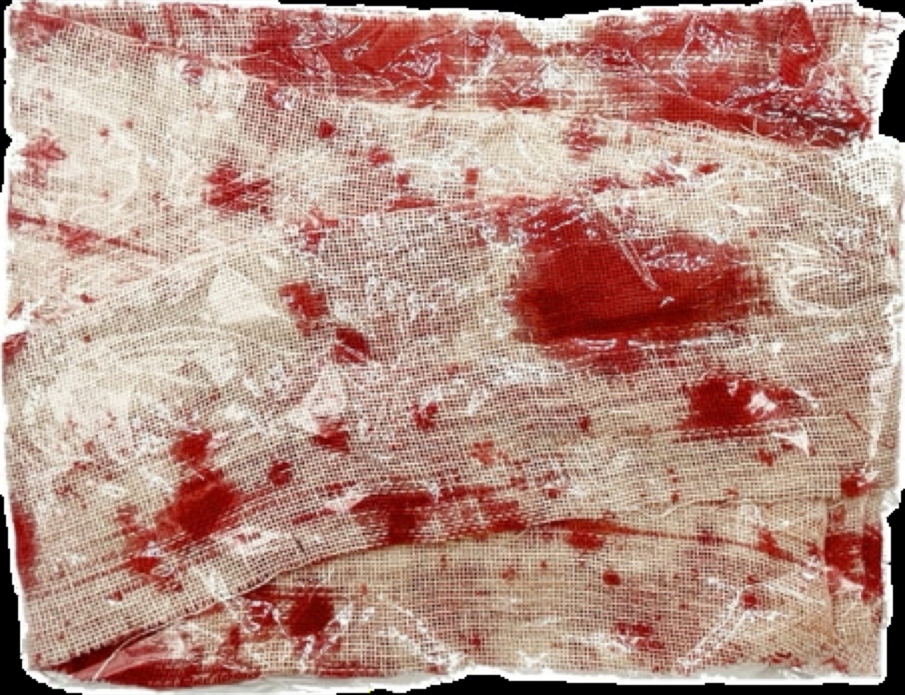 RIVER OF DENIAL • FRAME #123